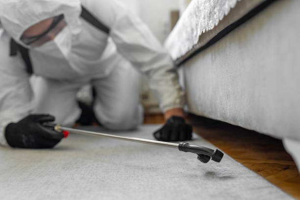 Professional Bed Bug Control technician working in Maricopa, CA